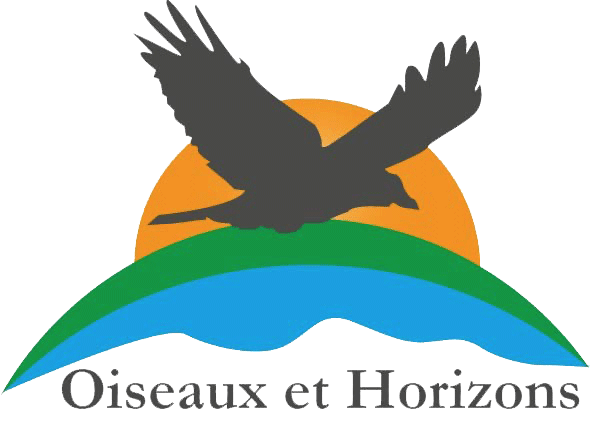 logo-oiseaux-horizon